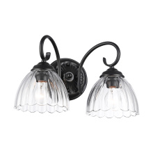 Golden 6952-BA2 BLK-CLR - Golden Lighting Audra 2-light Vanity in Matte Black